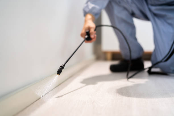 Certified termite inspector examining foundation in La Junta